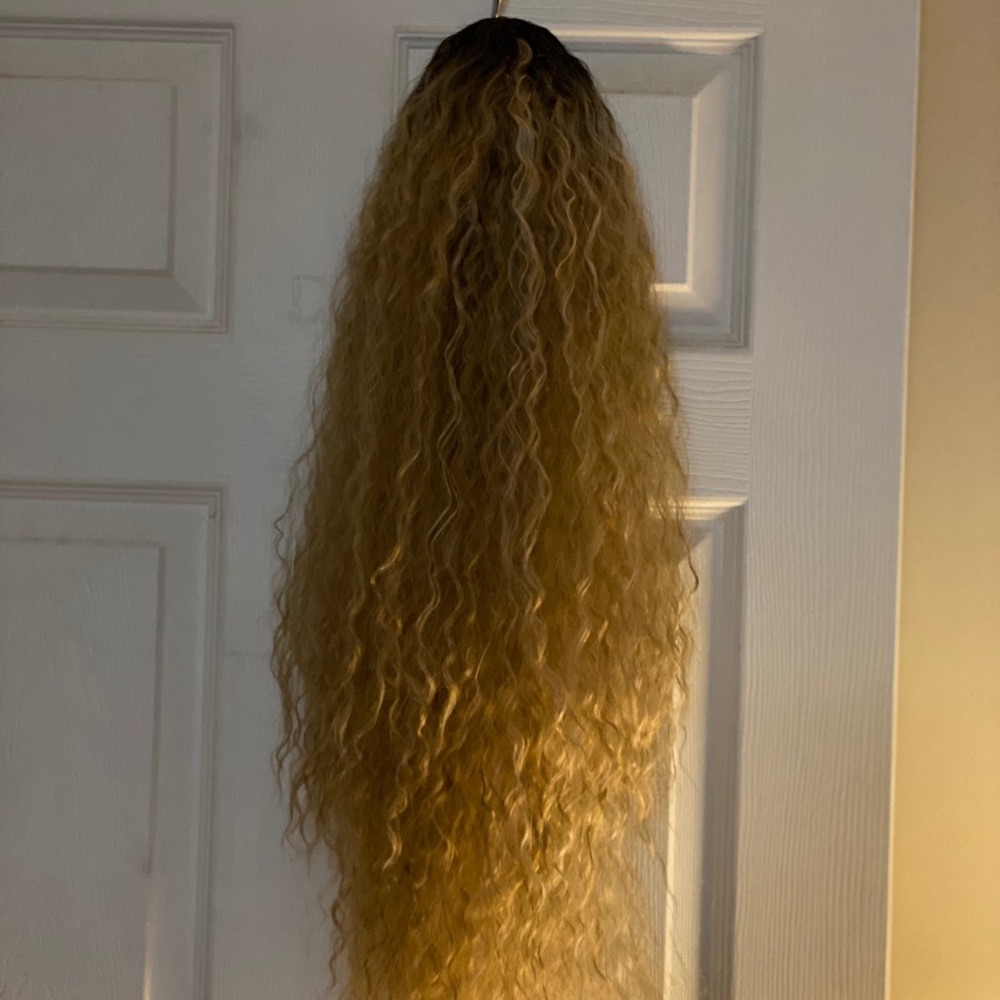 Ponytail clip in
